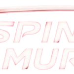 Spin Samurai logo